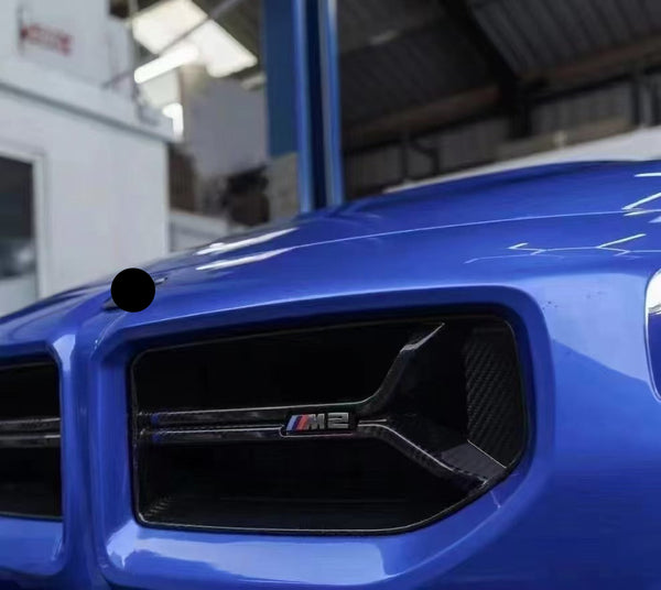 BMW G87 M2 CL Grill