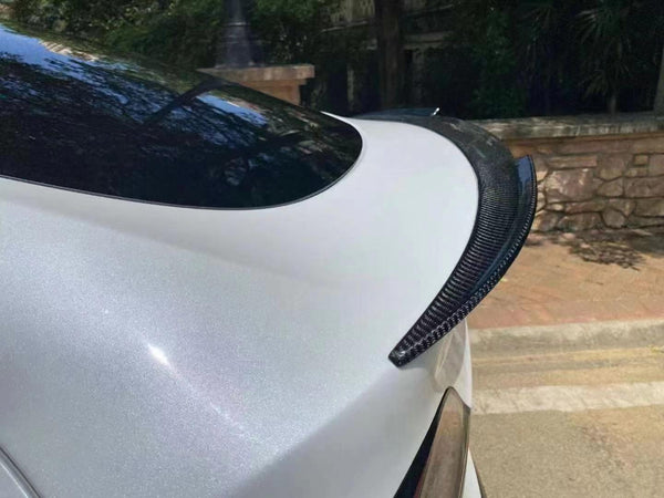 Model Y AD Duckbill